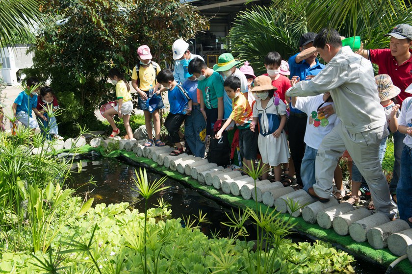 Trẻ em tham quan nhà máy Đạm Cà Mau: Những bài học không có trong sách vở - Ảnh 2.