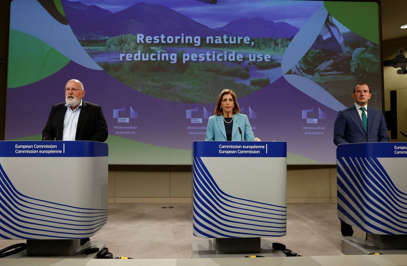 EU đẩy mạnh phục hồi hệ sinh thái với quy định mới về giảm sử dụng thuốc trừ sâu - Ảnh 1.
