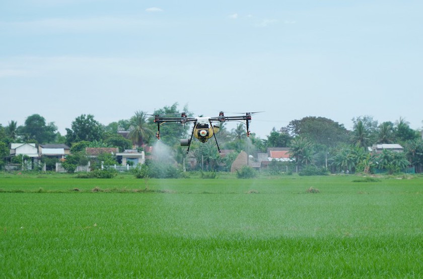 Trình diễn Drone thông minh bón phân trên cánh đồng lớn Cần Thơ - Ảnh 1.