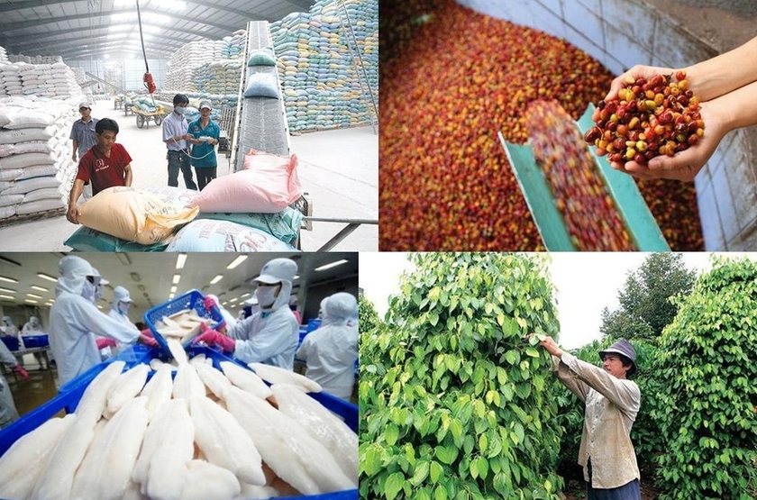 Việt Nam phấn đấu trở thành trung tâm chế biến nông sản top 10 thế giới năm 2030 - Ảnh 1.