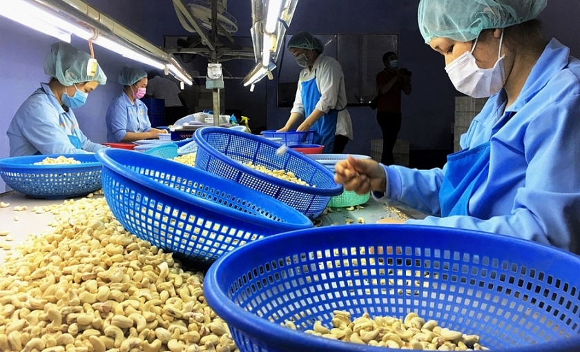 Việt Nam phấn đấu trở thành trung tâm chế biến nông sản top 10 thế giới năm 2030 - Ảnh 2.