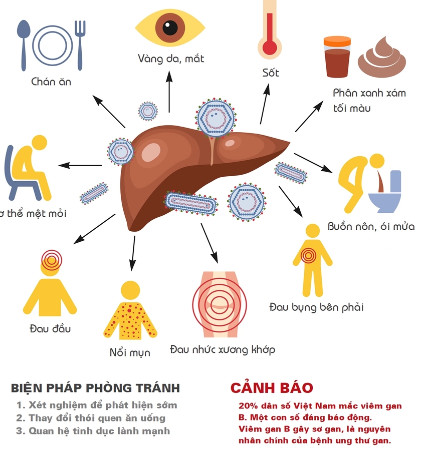 Viêm gan - căn bệnh diễn biến thầm lặng nhưng hậu quả nghiêm trọng - Ảnh 5.