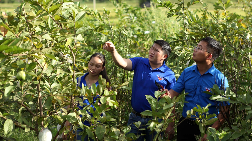 Học sinh, sinh vi&ecirc;n sẵn s&agrave;ng l&agrave;m chủ tương lai với chương tr&igrave;nh hỗ trợ khởi nghiệp 2026 &ndash; 2035 - Ảnh 1.