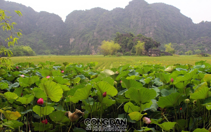 Ninh Bình nổi bật trong 12 địa điểm quay phim "ngầu" nhất Châu Á- Ảnh 3.