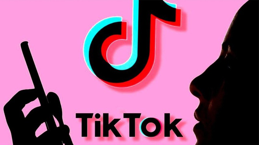 TikTok phủ nhận bị hack 790GB ghi dữ liệu người dùng - Ảnh 2.