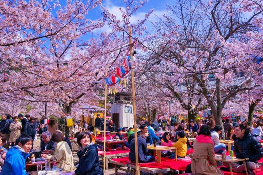 Những &quot;viên ngọc ẩn&quot; hứa hẹn trải nghiệm mùa Xuân thú vị Nhật Bản - Ảnh 3.