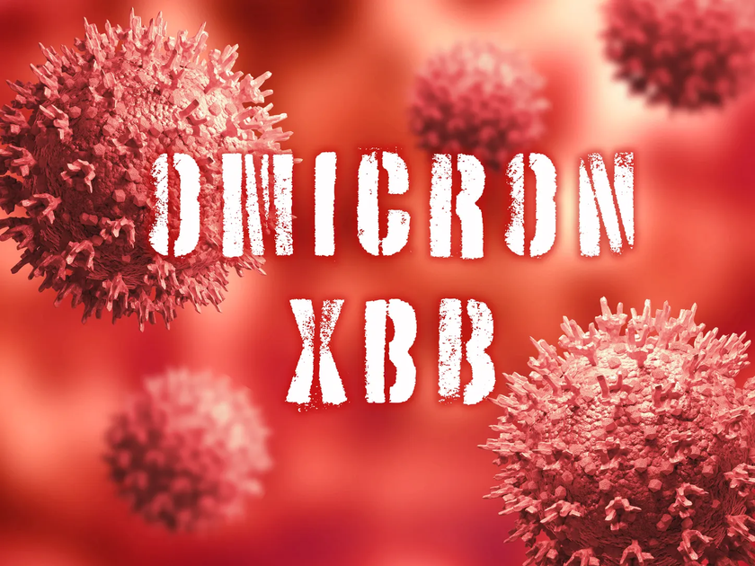Thành phố Hồ Chí Minh chưa phát hiện biến thể phụ XBB.1.5 của virus SARS-CoV-2 - Ảnh 1.