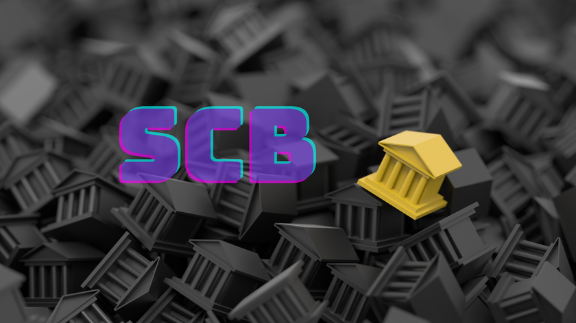 Ngân hàng Nhà nước báo cáo việc xử lý vụ ngân hàng SCB - Ảnh 1.