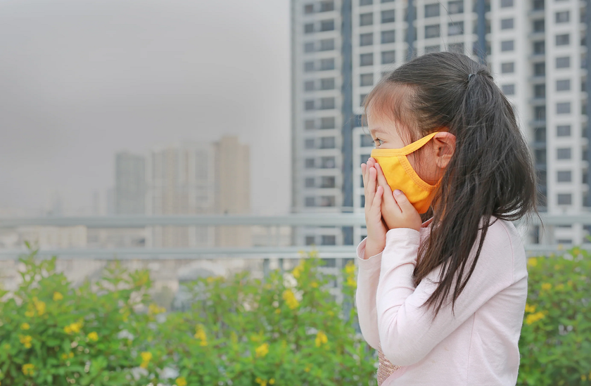 Hà Nội ô nhiễm không khí nghiêm trọng, cần làm gì để bảo vệ sức khỏe?- Ảnh 6.