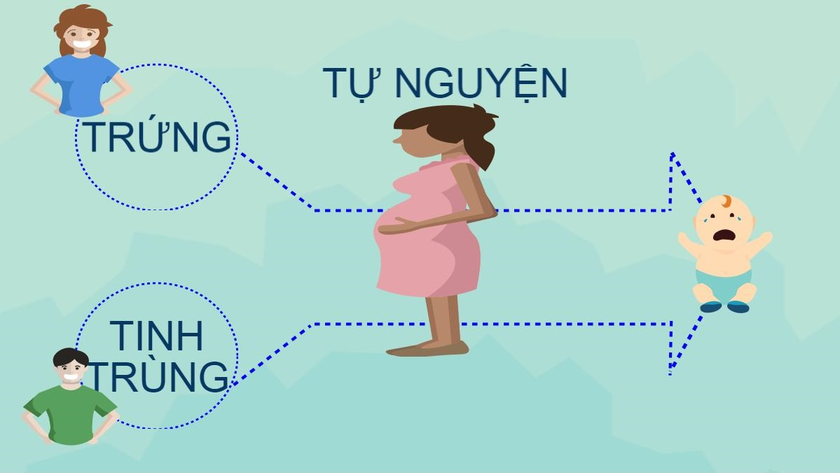 Vô sinh thì có được nhờ người khác mang thai hộ?- Ảnh 3.