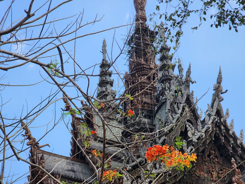 Chiêm ngưỡng đền Chân Lý, ngôi đền bằng gỗ nổi tiếng ở Pattaya - Thái Lan- Ảnh 11.