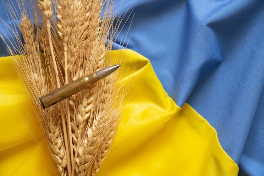 Xung đột Nga - Ukraine và tình trạng thiếu lương thực trên thế giới - Ảnh 1.