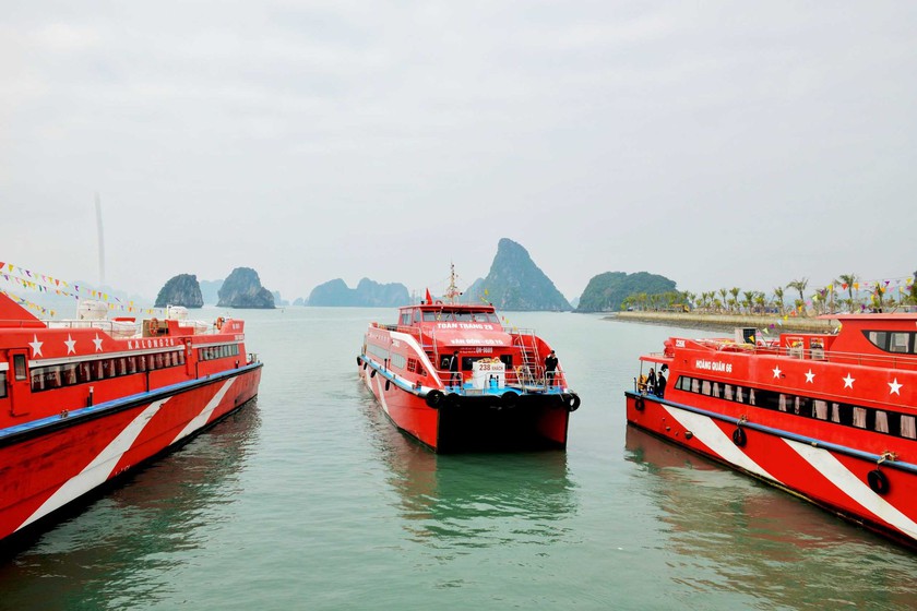 Quảng Ninh: Người dân 5 xã đảo được miễn phí qua cảng Ao Tiên 1 năm - Ảnh 3.