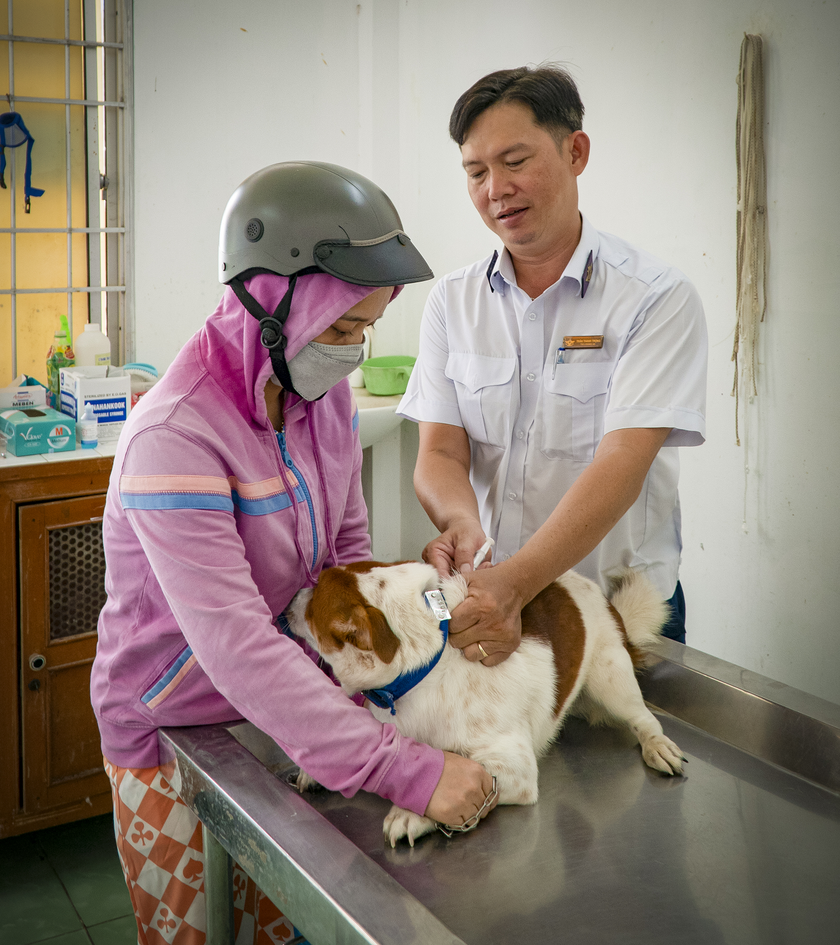 Phát hiện nhiều ổ dịch dại trên chó, Cà Mau khuyến cáo người dân tăng cường phòng chống bệnh dại - Ảnh 3.