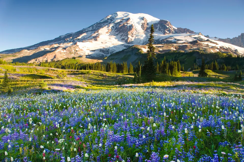 Những công viên quốc gia đẹp nhất nước Mỹ cho bạn &quot;tha hồ check-in&quot; mùa xuân này - Ảnh 2.