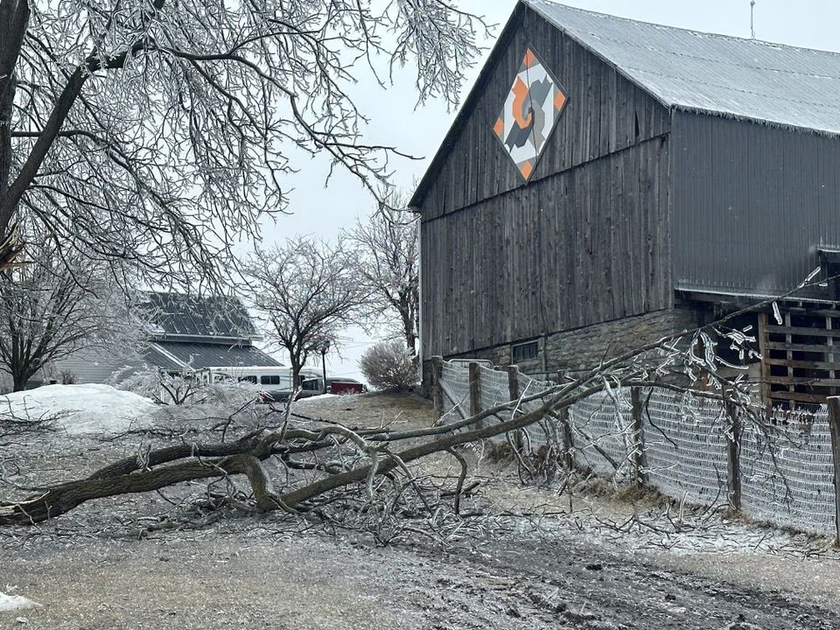 Bão tuyết nghiêm trọng ở Canada làm hơn một triệu người mất điện, trường học đóng cửa - Ảnh 4.