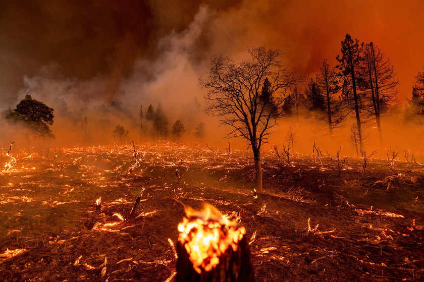 Cháy rừng ở Bắc Bán cầu khiến lượng khí thải CO2 tăng mạnh - Ảnh 1.