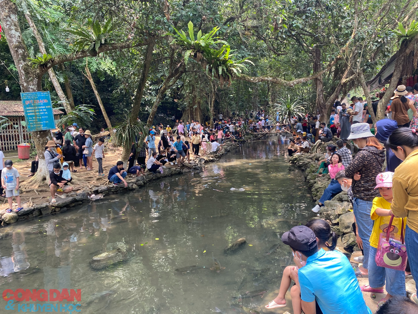 Nắng nóng, Khu du lịch suối cá thần Cẩm Lương vẫn đông nghịt khách trong kỳ nghỉ lễ 30/4 – 1/5 - Ảnh 1.