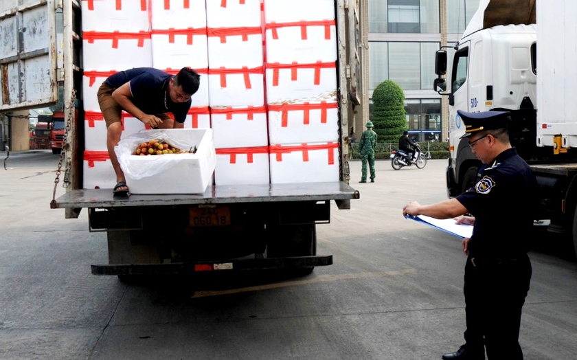 Xuất khẩu hơn 2.000 tấn quả vải tươi chín sớm qua Cửa khẩu Lào Cai - Ảnh 2.