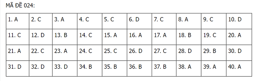 Thi vào lớp 10 tại Hà Nội: Gợi ý đáp án 24 mã đề thi môn Tiếng Anh - Ảnh 13.