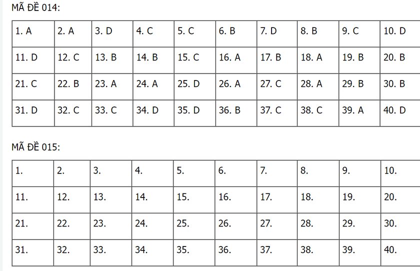 Thi vào lớp 10 tại Hà Nội: Gợi ý đáp án 24 mã đề thi môn Tiếng Anh - Ảnh 8.