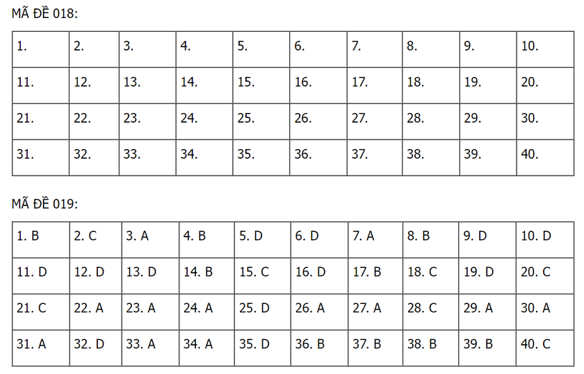 Thi vào lớp 10 tại Hà Nội: Gợi ý đáp án 24 mã đề thi môn Tiếng Anh - Ảnh 10.