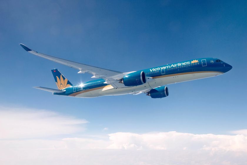 Hơn 7,3 triệu vé máy bay dịp cao điểm hè 2023 từ Vietnam Airlines Group - Ảnh 1.