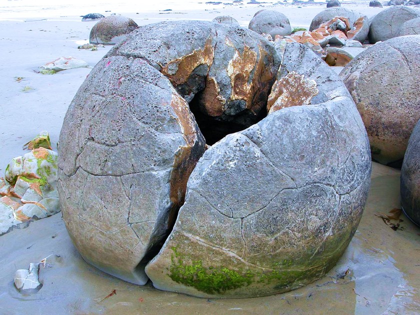 Bãi đá trứng rồng Moraeki - thắng cảnh kỳ ảo của New Zealand - Ảnh 8.
