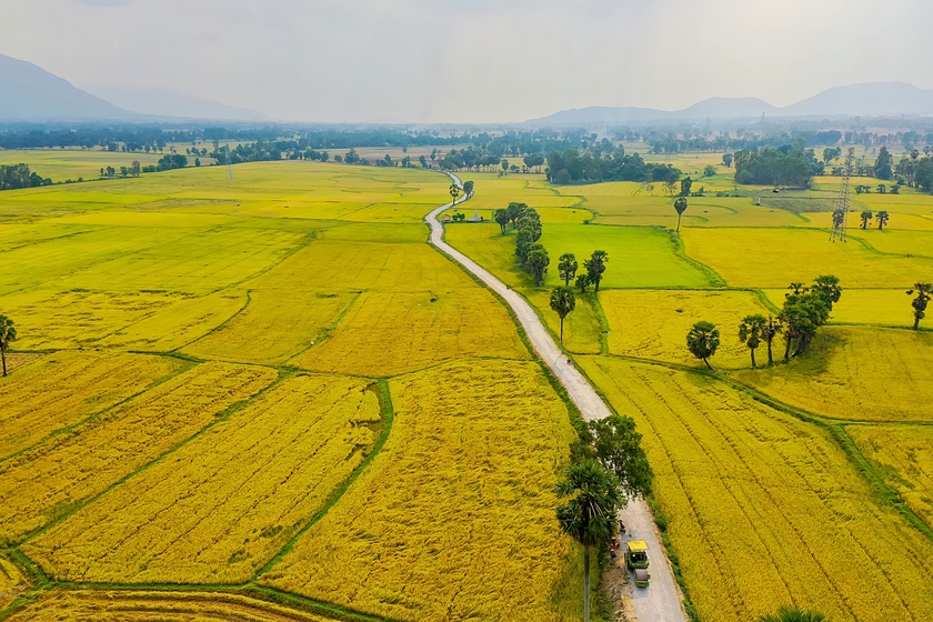Năm 2023, xuất khẩu gạo Việt có thể đạt con số kỷ lục - Ảnh 1.