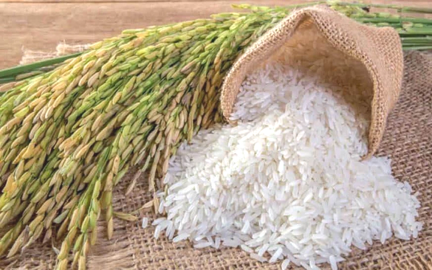 Chủ tịch Quốc hội: Cần giải bài toán kép vừa xuất khẩu gạo vừa đảm bảo an ninh lương thực trong nước - Ảnh 1.