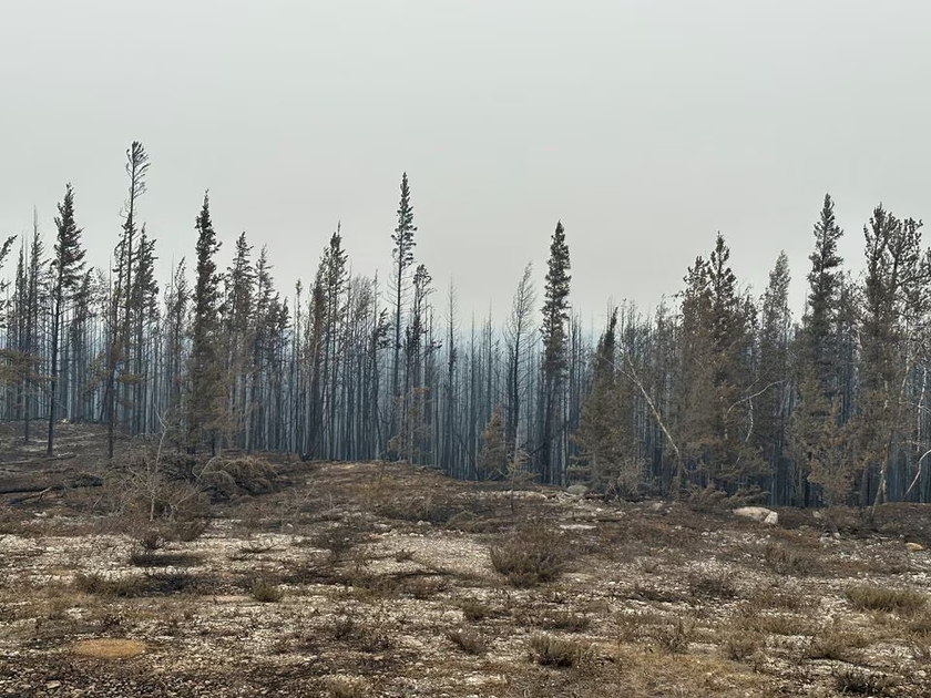 Cháy rừng khủng khiếp ở Canada làm toàn bộ 20.000 người dân Yellowknife phải sơ tán - Ảnh 8.