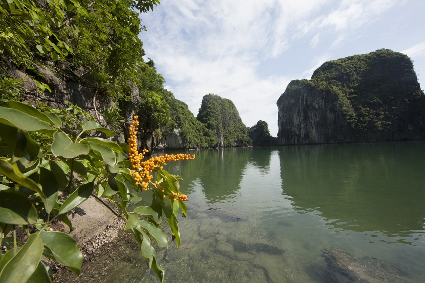 3 Di sản Thiên nhiên Thế giới ở Việt Nam - Ảnh 11.