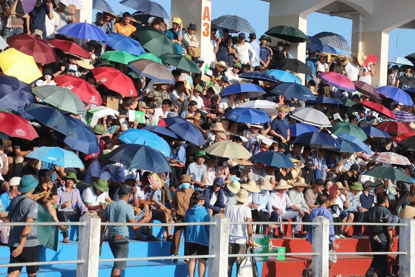 Hải Phòng: Bất chấp nắng nóng, hàng nghìn người đổ về Đồ Sơn xem 16 ông trâu thi đấu - Ảnh 6.