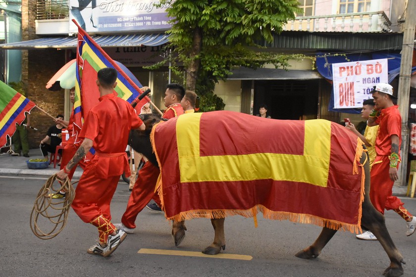 Hải Phòng: Bất chấp nắng nóng, hàng nghìn người đổ về Đồ Sơn xem 16 ông trâu thi đấu - Ảnh 4.