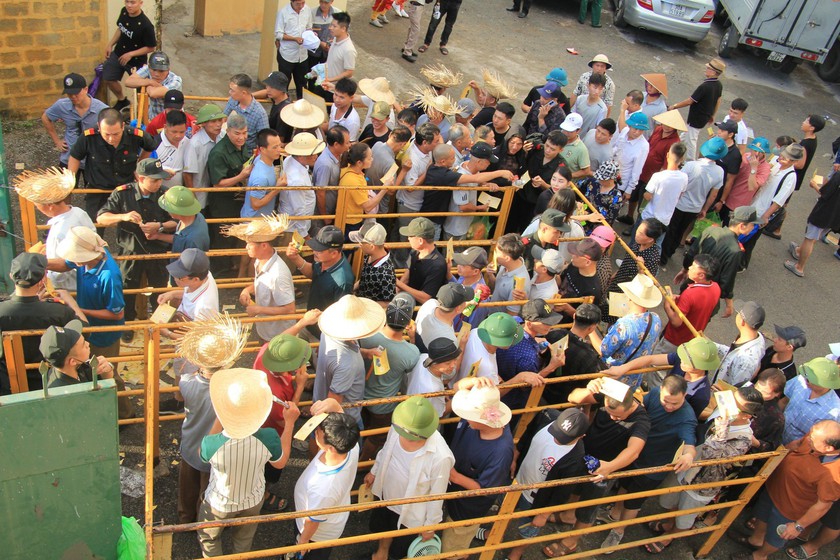 Hải Phòng: Bất chấp nắng nóng, hàng nghìn người đổ về Đồ Sơn xem 16 ông trâu thi đấu - Ảnh 1.