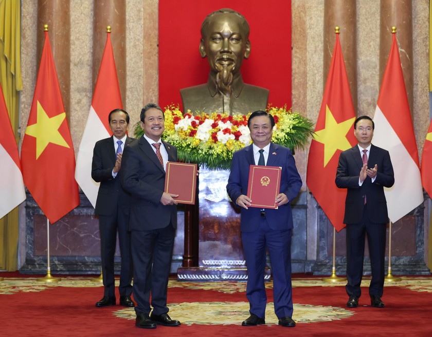 Chuyến thăm của Tổng thống Joko Widodo tạo xung lực mới cho quan hệ hữu nghị và hợp tác Việt Nam - Indonesia- Ảnh 5.