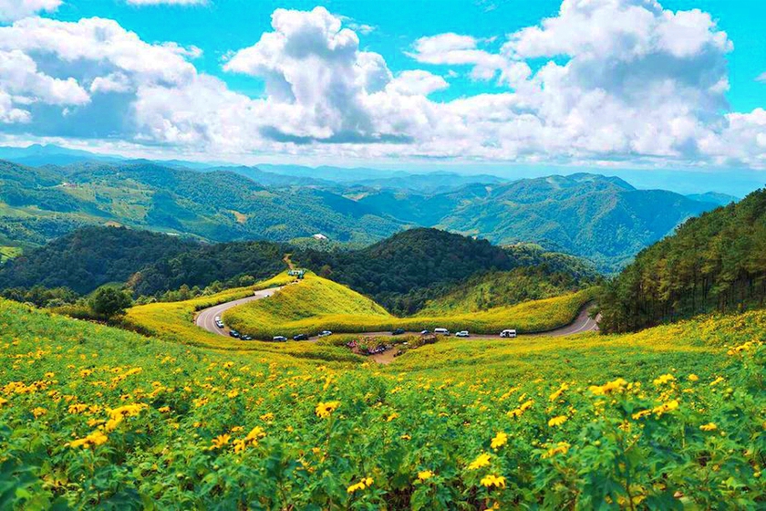 Vùng đất "hoa vàng trên cỏ xanh" Phú Yên dẫn đầu Top điểm đến Đông Nam Á tuyệt đẹp 2024- Ảnh 6.