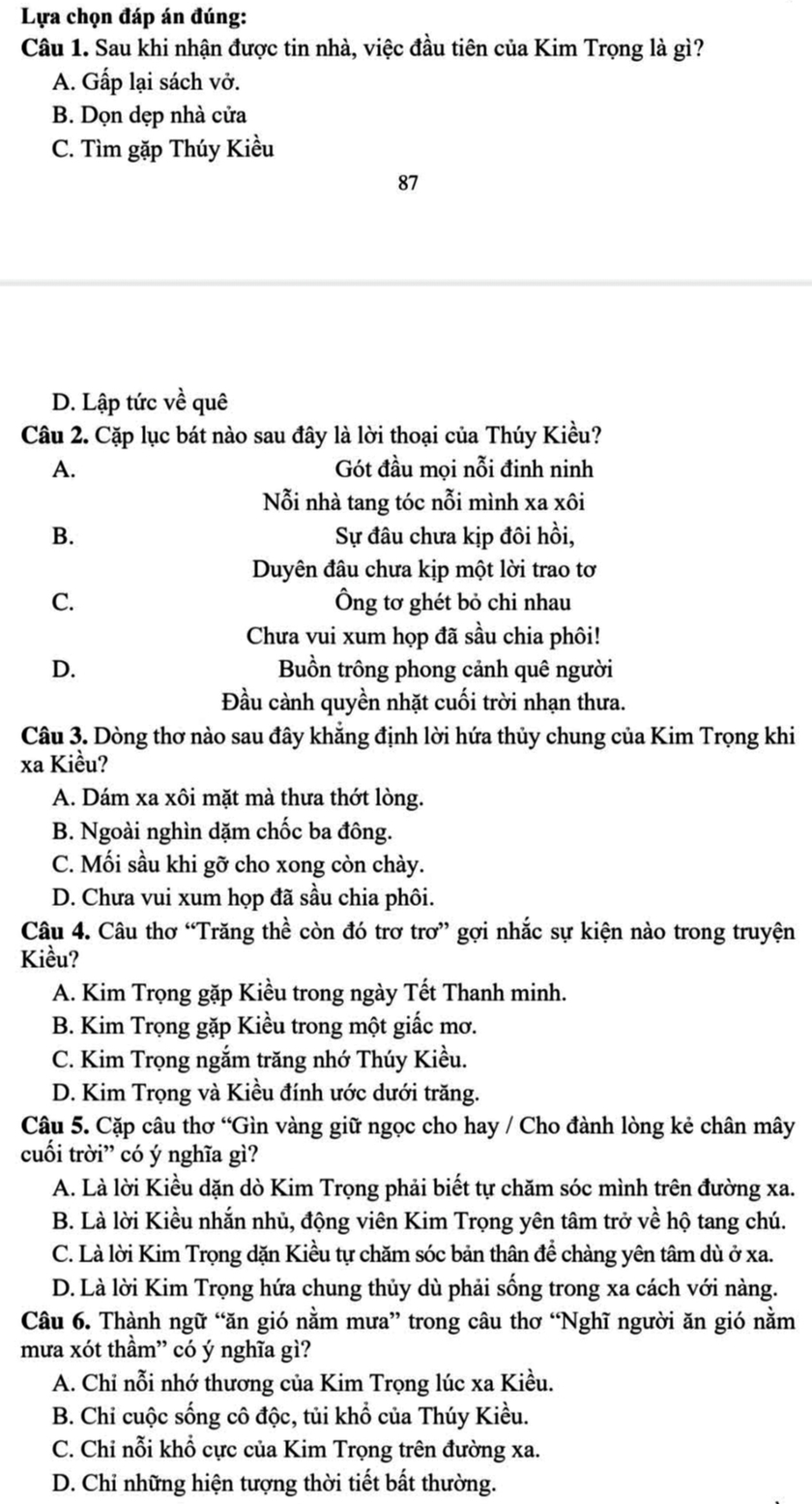 Đề tập huấn Ngữ văn 9: Người trẻ thích ứng với sự thay đổi - Ảnh 2.