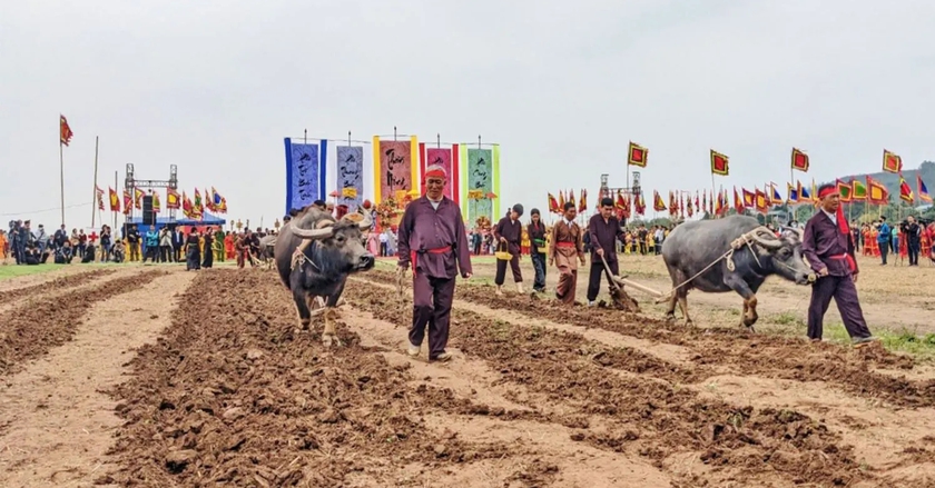 Lễ hội Tịch điền Đọi Sơn 2024 - Ngày hội xuống đồng lớn nhất vùng đồng bằng Bắc Bộ- Ảnh 8.