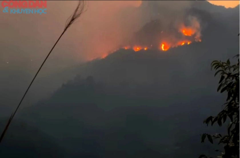 Cháy rừng ở Sa Pa - hơn 400 người đang nỗ lực dập lửa- Ảnh 1.