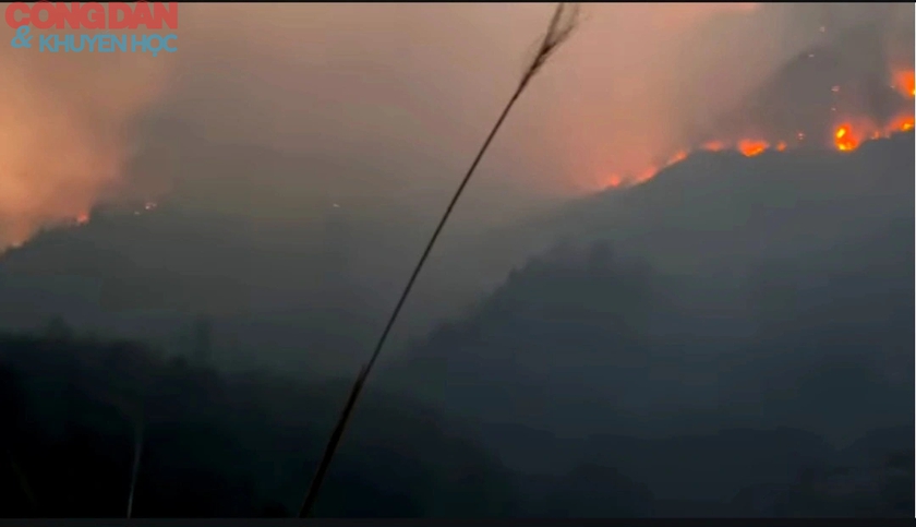 Cháy rừng ở Sa Pa - hơn 400 người đang nỗ lực dập lửa- Ảnh 2.