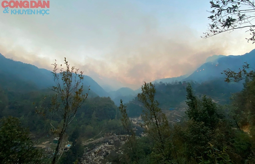 Cháy rừng ở Sa Pa - hơn 400 người đang nỗ lực dập lửa- Ảnh 3.