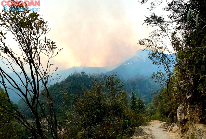 Cháy rừng ở Sa Pa - hơn 400 người đang nỗ lực dập lửa- Ảnh 4.