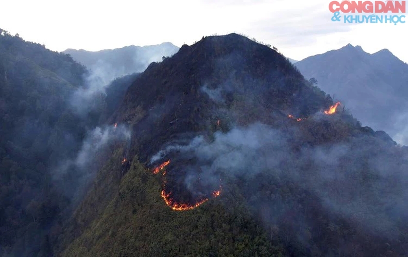 Cháy rừng ở Sa Pa: Điểm cháy cuối cùng treo ngang  vách núi cao đã bị khống chế- Ảnh 2.