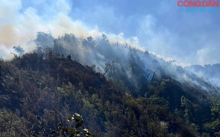 Cháy rừng ở Sa Pa: Điểm cháy cuối cùng treo ngang  vách núi cao đã bị khống chế- Ảnh 3.