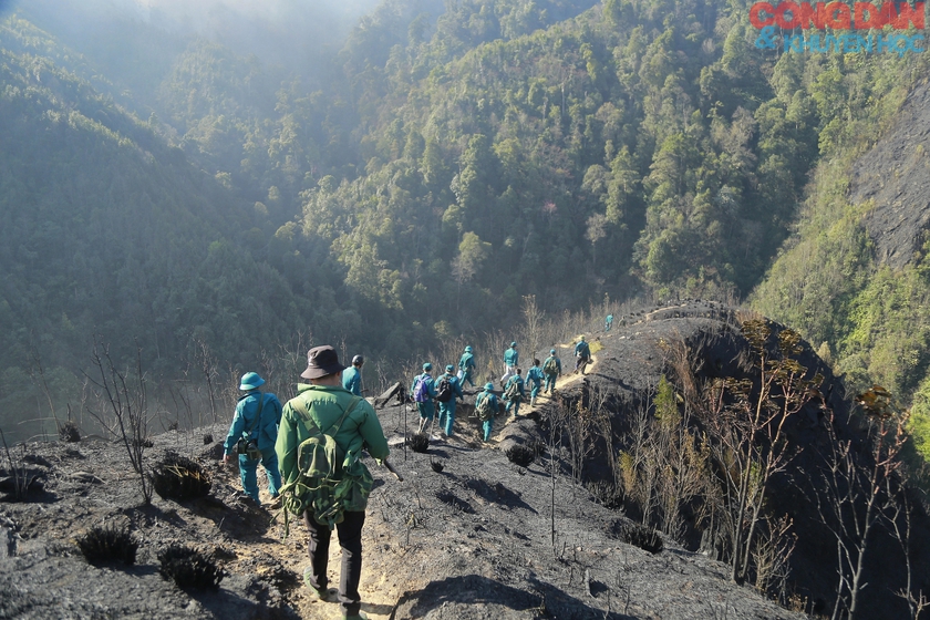 Cháy rừng ở Sa Pa: Điểm cháy cuối cùng treo ngang  vách núi cao đã bị khống chế- Ảnh 5.