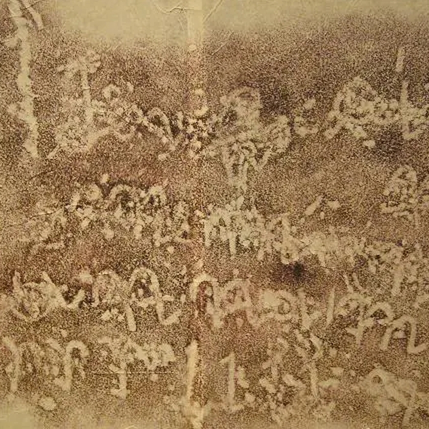 Khoa Đẩu - chữ viết của người Việt cổ- Ảnh 1.