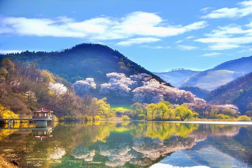 Du lịch Hàn Quốc với các trải nghiệm mùa xuân 2024 cuốn hút nhất- Ảnh 1.