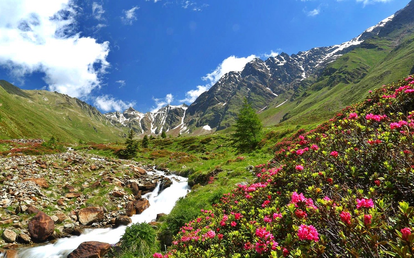 Du lịch tháng tư: Khám phá "vùng đất Rồng Sấm" Bhutan - điểm đến thịnh hành năm 2024- Ảnh 9.