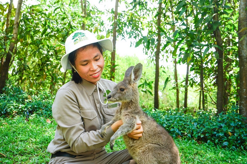 Thầm lặng những “bảo mẫu lênh đênh ngày đêm” cùng động vật hoang dã ở River Safari- Ảnh 1.